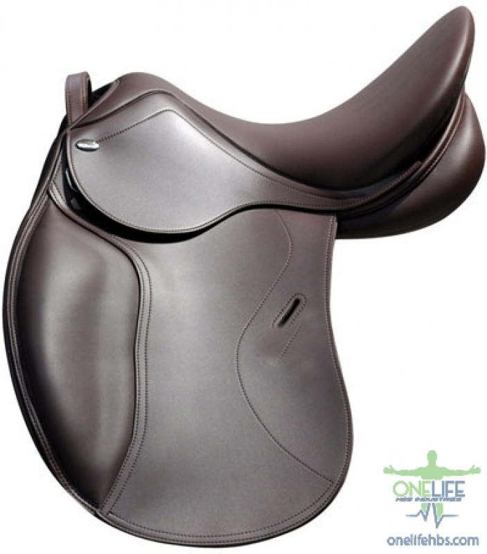 Upper Centrals and Canines
